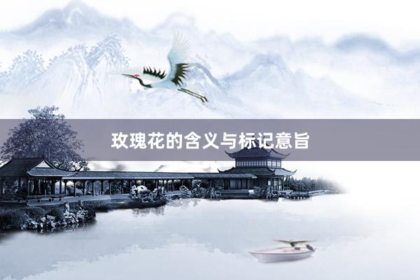 玫瑰花的含义与标记意旨