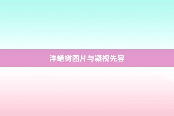 洋蜡树图片与凝视先容