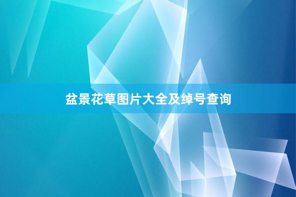 盆景花草图片大全及绰号查询