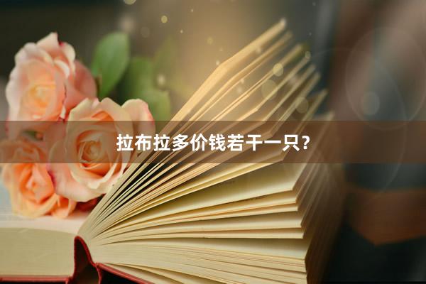 拉布拉多价钱若干一只?