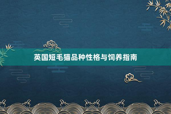英国短毛猫品种性格与饲养指南