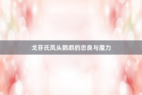 戈芬氏凤头鹦鹉的忠良与魔力
